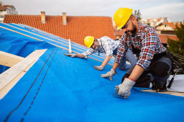 Best Metal Roofing Contractor  in Elwood, IN