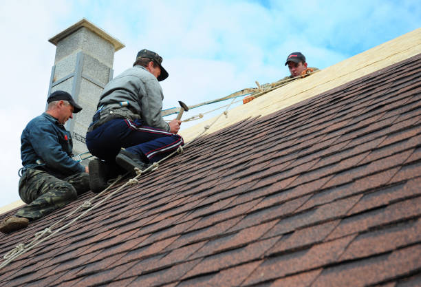 Best Roof Gutter Cleaning  in Elwood, IN